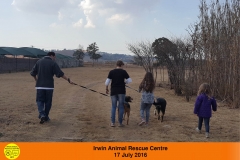Volunteers12